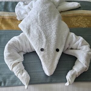 Meet your Posher, Tammie